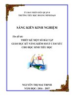 SKKN KIỂM SOÁT cảm xúc CHO HS TIỂU học