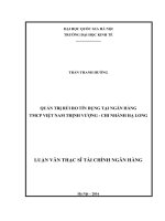 Quản trị rủi ro tín dụng tại ngân hàng TMCP việt nam thịnh vượng – chi nhánh hạ long 