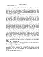 SKKN: Kinh nghiệm giáo dục học sinh lớp 5A thực hiện tốt luật An toàn giao thông