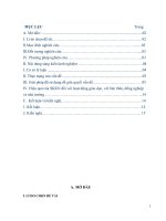 SKKN thể dục: Một số phương pháp tổ chức huấn luyện đội tuyển AEROBIC tập bài thể dục AEROBIC tự chọn