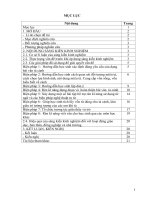 SKKN tiếng việt: Một số biện pháp rèn kĩ năng làm văn tả cảnh cho học sinh lớp 5 ở Trường Tiểu học Nga Lĩnh huyện Nga Sơn.