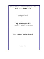 Phát triển nguồn nhân lực tại Công ty Cổ phần Đầu tư C.E.O (LV thạc sĩ))