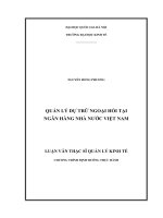Quản lý dự trữ ngoại hối tại ngân hàng nhà nước việt nam