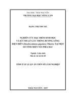 Nghiên cứu đặc điểm dinh học và kỹ thuật gẫy trồng cây bương lông điện biên (dendrocalamus giganteus munro) tại một số tỉnh miền núi phía bắc (tt) 