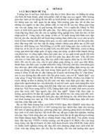 SKKN quản lý: Một số biện pháp chỉ đạo của Hiệu trưởng nhằm nâng cao năng lực dạy học VNEN