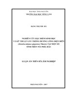 Nghiên cứu đặc điểm dinh học và kỹ thuật gẫy trồng cây bương lông điện biên (dendrocalamus giganteus munro) tại một số tỉnh miền núi phía bắc 