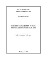 Điều kiện karush kuhn tucker trong bài toán tối ưu hàm r lồi 