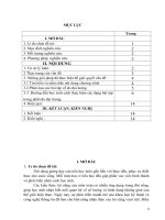 SKKN toán tiểu học: Một số kinh nghiệm dạy đại lượng và đo đại lượng cho học sinh lớp 5 ở trường Tiểu học Nga Thủy – Nga Sơn