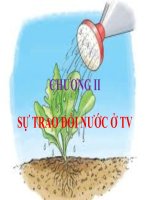 CHƯƠNG II SỰ TRAO ĐỔI NƯỚC Ở THỰC VẬT
