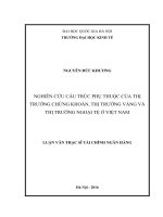 Nghiên cứu cấu trúc phụ thuộc của thị trường chứng khoán, thị trường vàng và thị trường ngoại tệ ở việt nam 