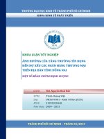 Ảnh hưởng của tăng trưởng tín dụng đến nợ xấu các ngân hàng thương mại trên địa bàn tỉnh đồng nai 