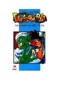 Truyên tranh 7 viên ngọc rồng tập 20