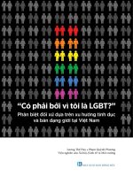 Phân biệt đối xử dựa trên xu hướng tính dục và bản dạng giới tại Việt Nam