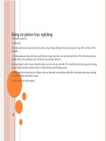 Động cơ piston trục nghiêng