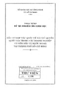 Đầu tư hợp tác quốc tế và chủ quyền quốc gia trong các doanh nghiệp có vốn đầu tư nước ngoài tại TP