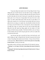 Đề tài Một số vấn đề về cơ cấu tổ chức quản lý và hoạt động du lịch lữ hành