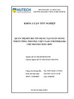 Quản trị rủi ro tín dụng tại ngân hàng TMCP Công Thương Việt Nam (Vietinbank) chi nhánh Châu Đốc