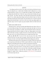 Đề tài Phương pháp phân tích địa hóa dầu khí