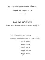 Đề tài Phân vùng với tách ngưỡng tự động