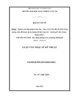 Đề tài Nghiên cứu biện pháp móng Top - Base xử lý nền đất yếu dưới móng