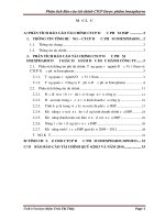 Đề tài Phân tích báo cáo tài chính của Công ty Cổ phần Dược phẩm Imexpharm