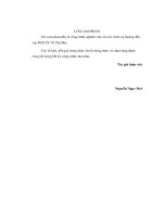 Phát triển nguồn nhân lực tại Trường Quốc tế Anh  Việt (BVIS) (LV thạc sĩ))