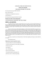 bài báo cáo thực tập sư phạm trường tiểu học cây gáo