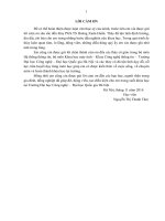 Phân cụm đa mục tiêu mờ cho dữ liệu định danh