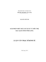 Giải pháp thúc đẩy sản xuất và tiêu thụ rau sạch tỉnh Vĩnh Long (LV thạc sĩ))