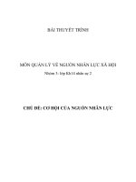 tiểu luận môn học quản lý nguồn nhân lực xã hội