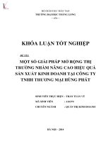 Một số giải pháp mở rộng thị trường nhằm nâng cao hiệu quả sản xuất kinh doanh tại công ty TNHH Thương mại Hùng Phát