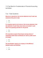 110 test bank for fundamentals of financial accounting 3rd edition
