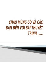 Tìm hiểu về đạo tin lành ở việt nam hiện nay