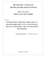 Giải pháp phát triển hoạt động cho vay doanh nghiệp nhỏ và vừa tại ngân hàng TMCP xuất nhập khẩu việt nam chi nhánh hồ chí minh