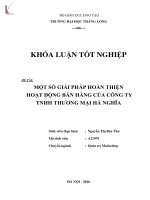 Một số giải pháp hoàn thiện hoạt động bán hàng của Công ty TNHH Thương mại Hà Nghĩa
