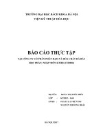 báo cáo tham quan nhà máy phân đạm và hóa chất Hà Bắc