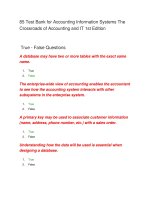85 test bank for accounting information systems the crossroads of accounting and IT 1st edition