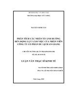 Phân tích các nhân tố ảnh hưởng đến động lực làm việc của nhân viên công ty cổ phần Du lịch An Giang (LV thạc sĩ))