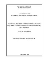 Nghiên cứu đặc điểm dinh học và kỹ thuật gẫy trồng cây bương lông điện biên (dendrocalamus giganteus munro) tại một số tỉnh miền núi phía bắc