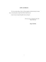 Đánh giá mức độ hài lòng của doanh nghiệp đối với chất lượng phục vụ của ngành thuế tỉnh Vĩnh Long (LV thạc sĩ))