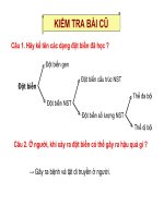 Bài thi dạy học tích hợp liên môn-Bai 29 Benh va tat di truyen o nguoi (1)