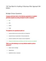 100 test bank for auditing a business risk approach 8th edition