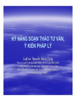 KỸ NĂNG SOẠN THẢO TƯ VẤN,Ý KIẾN PHÁP LÝ