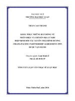 KHẮC PHỤC NHỮNG BẤT ĐỒNG VỀ NHÃN HIỆU VÀ CHỈ DẪN ĐỊA LÝ KHI HIỆP ĐỊNH ĐỐI TÁC XUYÊN THÁI BÌNH DƯƠNG (TRANS-PACIFIC PARTNERSHIP AGREEMENT-TPP) ĐƯỢC VẬN HÀNH