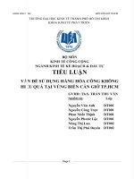 Vấn đề sử dụng hàng hóa công không hiệu quả tại biển cần giờ TP HCM 