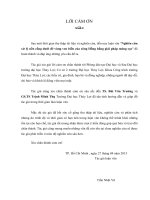 ghiên cứu xử lý nền cống dưới đê vùng ven biển cửa sông hồng bằng giải pháp móng cọc  