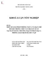 Một số giải pháp phòng ngừa và hạn chế rủi ro trong cho vay hộ sản xuất tại Ngân hàng thương mại cổ phần Đại Á - Phòng giao dịch Hà Huy Tập