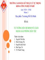 TƯ TƯỞNG hồ CHÍ MINH về CÁCH MẠNG giải PHÓNG dân tộc