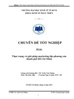 Thực trạng và giải pháp marketing địa phương của TPHCM 