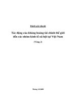 Tác động của khủng hoảng tài chính thế giới đến các nhóm kinh tế-xã hội tại Việt Nam